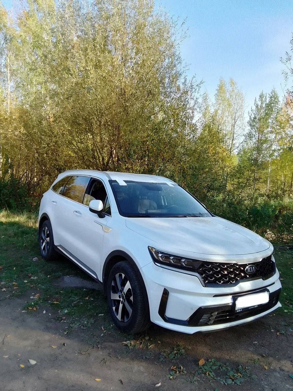 Замена лобового стекла — Kia Sorento
